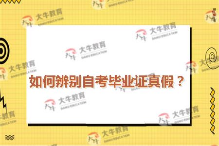 学信网毕业证验证码查询失败什么意思啊