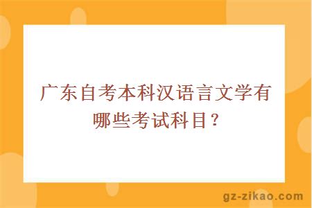 广东自考本科汉语言文学有哪些考试科目？