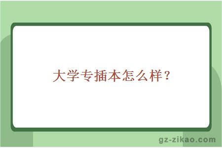 大学专插本怎么样？