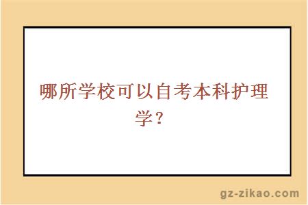 哪所学校可以自考本科护理学？