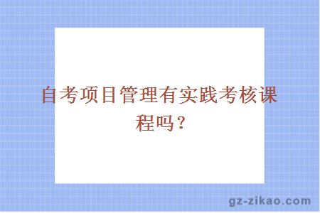 自考项目管理有实践考核课程吗？