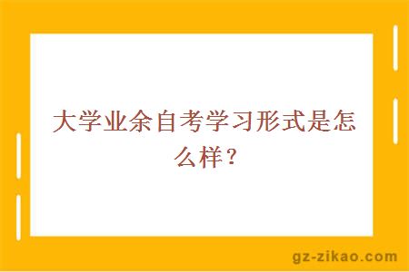 大学业余自考学习形式是怎么样？