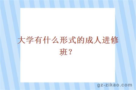 大学有什么形式的成人进修班？