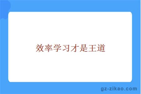 效率学习才是王道