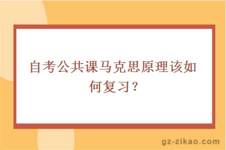 自考公共课马克思原理该如何复习？