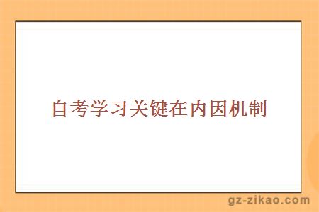 自考学习关键在内因机制