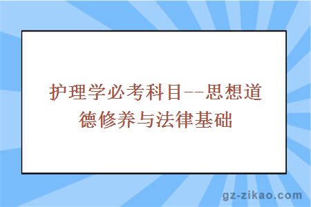 护理学必考科目--思想道德修养与法律基础