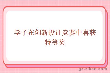 学子在创新设计竞赛中喜获特等奖
