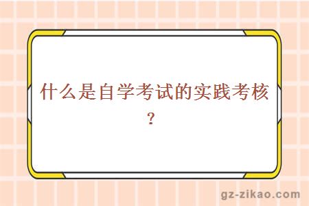 什么是自学考试的实践考核？