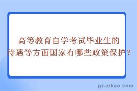 高等教育自学考试毕业生的待遇等方面国家有哪些政策保护？