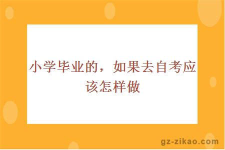 小学毕业的，如果去自考应该怎样做