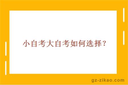 小自考大自考如何选择？