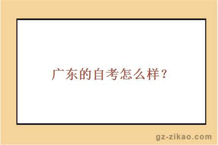 广东的自考怎么样？