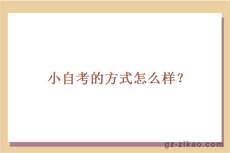 小自考的方式怎么样？