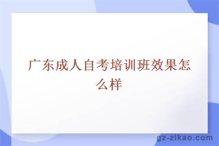 广东成人自考培训班效果怎么样