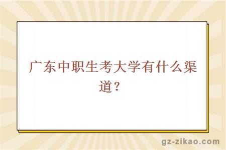 广东中职生考大学有什么渠道？