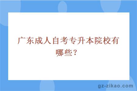 广东成人自考专升本院校有哪些？