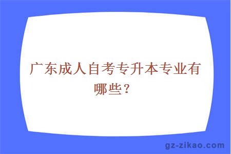 广东成人自考专升本专业有哪些？