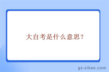 大自考是什么意思？