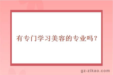 有专门学习美容的专业吗？