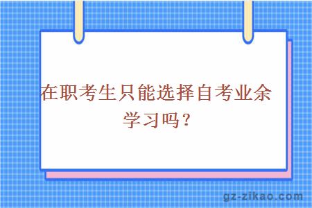 在职考生只能选择自考业余学习吗？