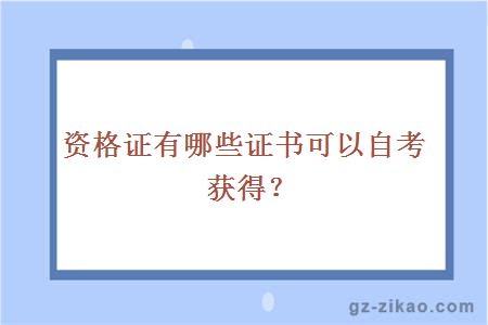 资格证有哪些证书可以自考获得？