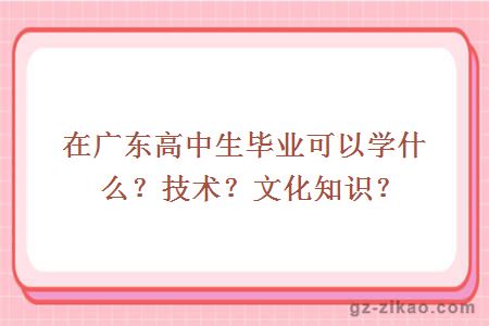 在广东高中生毕业可以学什么？技术？文化知识？