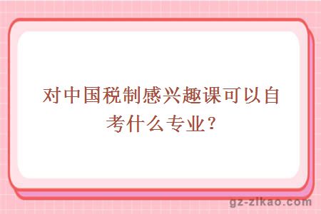 对中国税制感兴趣课可以自考什么专业？