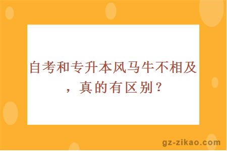 自考和专升本风马牛不相及，真的有区别？