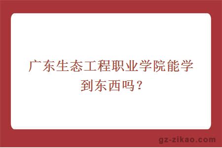 广东生态工程职业学院能学到东西吗？