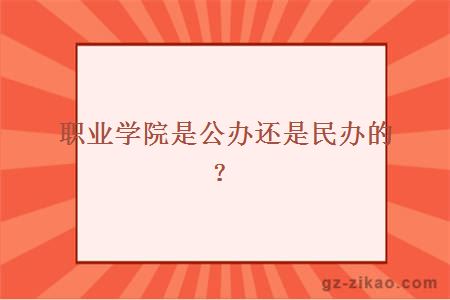 职业学院是公办还是民办的？