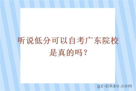 听说低分可以自考广东院校是真的吗？