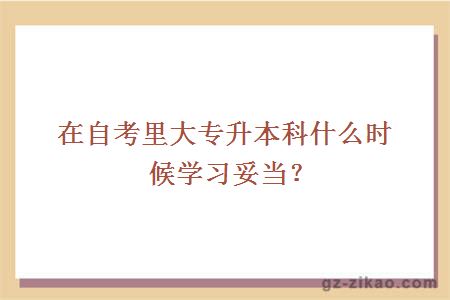 在自考里大专升本科什么时候学习妥当？