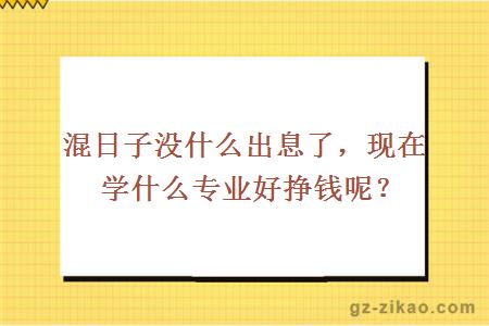 混日子没什么出息了，现在学什么专业好挣钱呢？
