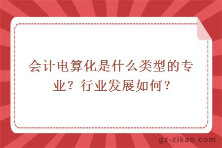 会计电算化是什么类型的专业？行业发展如何？