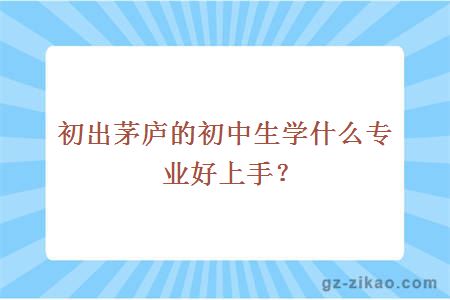 初出茅庐的初中生学什么专业好上手？