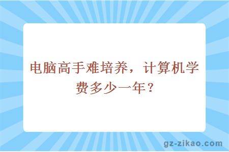 电脑高手难培养，计算机学费多少一年？