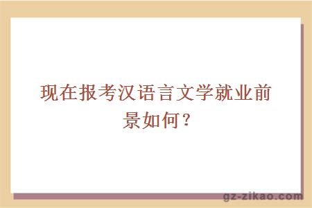 现在报考汉语言文学就业前景如何？