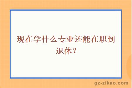 现在学什么专业还能在职到退休？