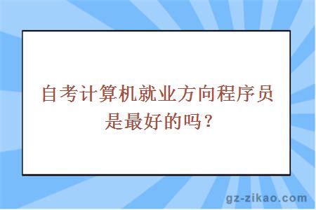 自考计算机就业方向程序员是最好的吗？