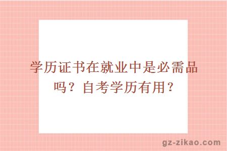 学历证书在就业中是必需品吗？自考学历有用？