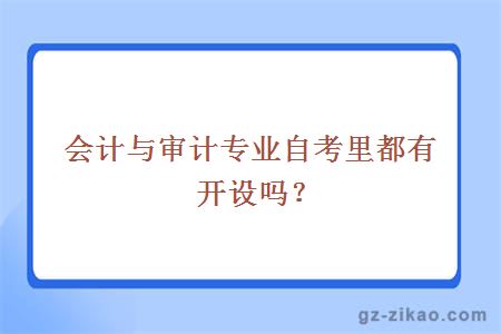 会计与审计专业自考里都有开设吗？