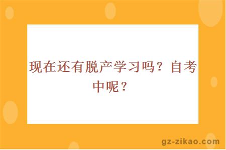 现在还有脱产学习吗？自考中呢？