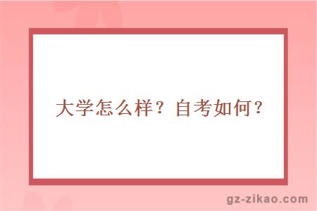 大学怎么样？自考如何？