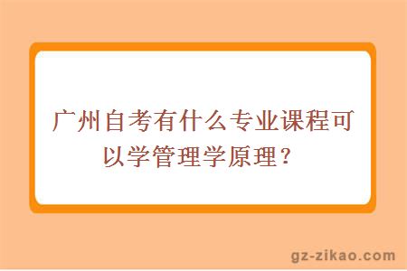 广州自考有什么专业课程可以学管理学原理？