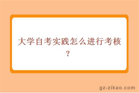 大学自考实践怎么进行考核？