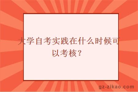 大学自考实践在什么时候可以考核？