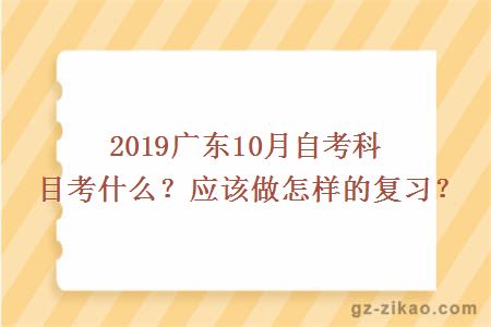 2019广东10月自考科目考什么？应该做怎样的复习？