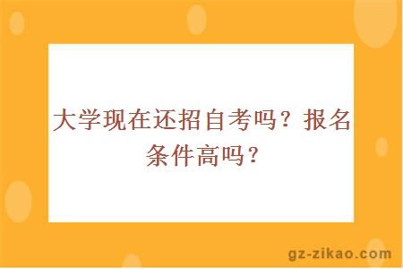 大学现在还招自考吗？报名条件高吗？