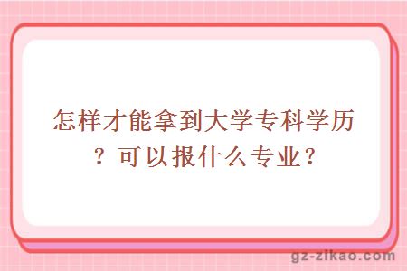 怎样才能拿到大学专科学历？可以报什么专业？